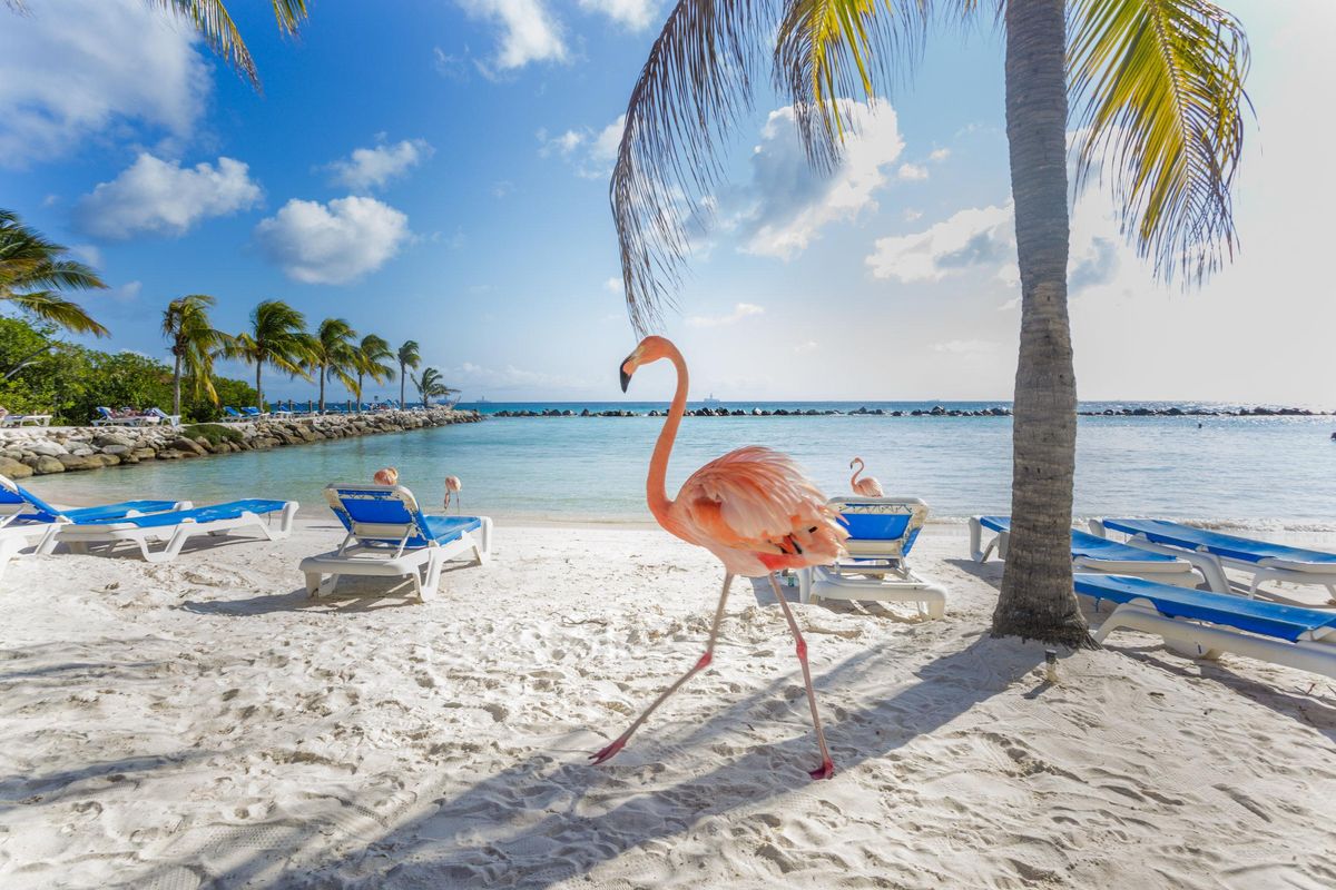 Városi legenda, vagy tényleg létezik malacos tengerpart? És flamingós?