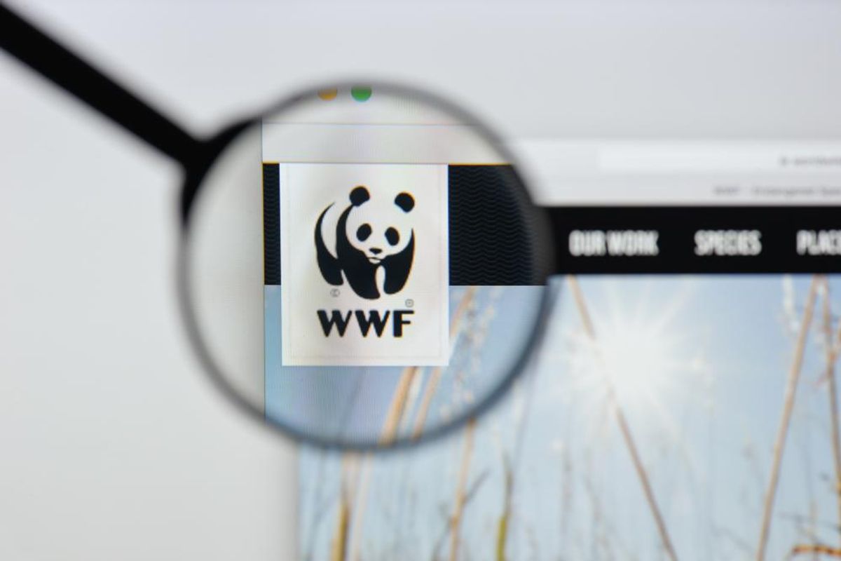 A WWF-et segítheted, ha menő termékeket rendelsz tőlük